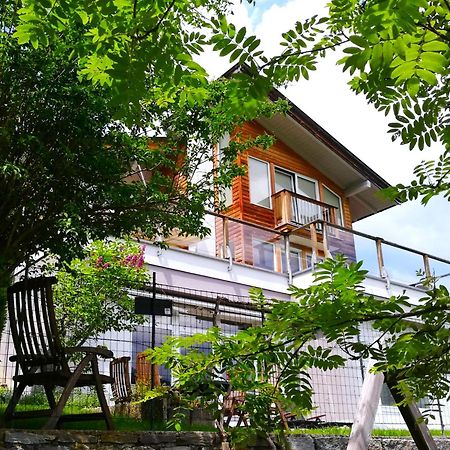 Ferienwohnung Hoellwart - Exclusiv, Ruhige Lage, Panoramablick Bischofshofen Luaran gambar